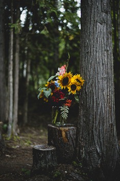 garden flower decor by kootenay wedding photographer electrify photography