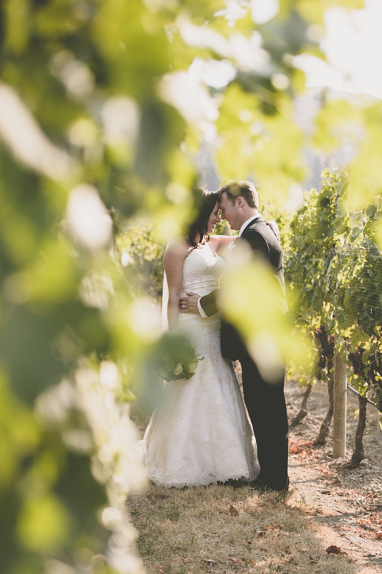 bride and groom in cedar creek vineyard at vintage okanagan wedding by nelson, kelowna, bc, wedding photographer electrify photography