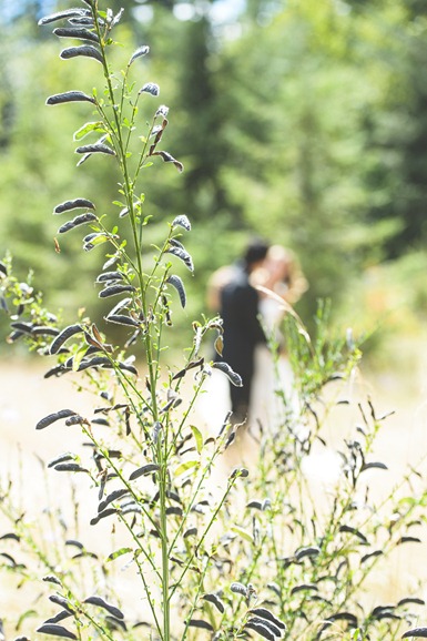 l-r-nelson-bc-kootenay-beachfront-wedding-electrify-photography-part2-3