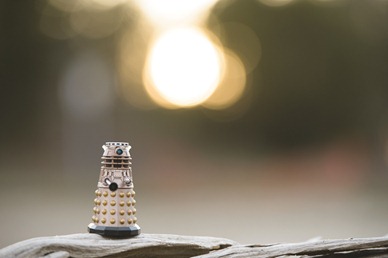 doctor who, engagement session, ring shot, dalek