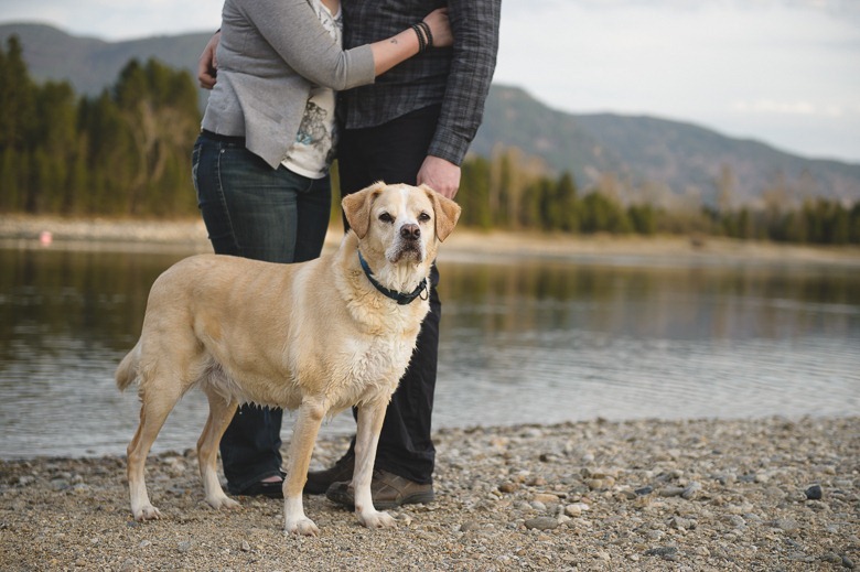 geri-brent-engagement-castlegar-bc-kootenay-wedding-photography-electrify-30