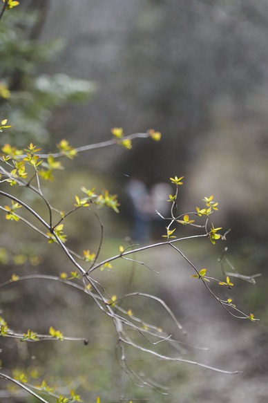 robyn-ryan-kokanee-creek-nelson-bc-spring-engagement-electrify-photography-3