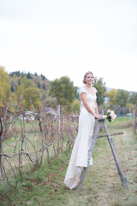 Bride on vintage painter ladder in gnarley grape vines at Columbia gardens winery, by Nelson BC Kootenay wedding photographer Emilee Zaitsoff of Electrify Photography