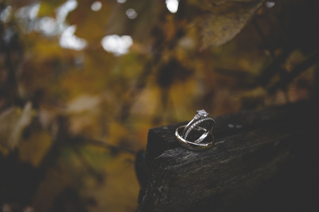 Wedding Rings among fall colour grape leaves at columbia gardens winery, by Nelson BC Kootenay wedding photographer Emilee Zaitsoff of Electrify Photography
